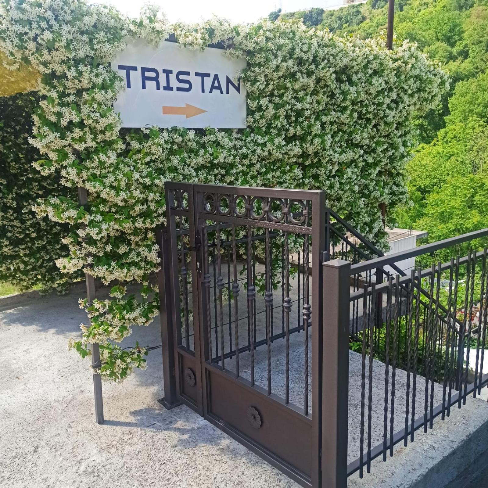 Apartman Tristan Herceg Novi Ngoại thất bức ảnh